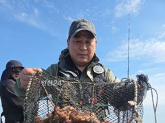 통영 금정호 문어선상 대박조황! 내일 오후와 일요일 자리여유있습…