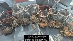 (王문어)어장+섬치기 K오버 뽑고 또 뽑고~현서피싱(17일예약)
