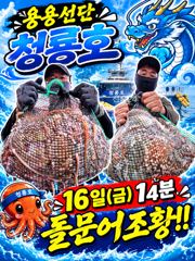 <고흥녹동>청룡호 16일 돌문어 대박!조황!!