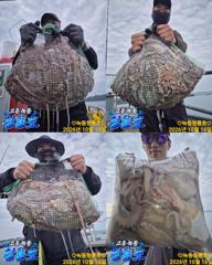 <고흥녹동>청룡호 16일 돌문어 대박!조황!