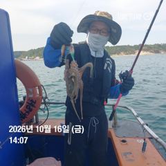 포항 종방) 제2대일호 10월 16일 문어조황