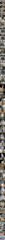 먼바다왕갈치(외줄.16석)=3지4지5지6지 대치들 대박!오늘자리여유/낼 토=야간돌문어