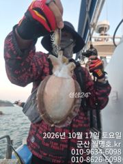 내만 갈치 내만 씨알이가 맞습니다 맞구요,,,(일욜부터 예약 가능)
