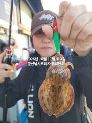 17일, 군산은 갑오징어 끝내주네요~~오늘도 굿굿~실시간 조황~군산낚시프라자 챔피언호 사진