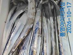 아이비호/대갈치만땅!!통영대갈치난리~예보좋은 월화 출동예약주세요!!자리텅텅황제낚시