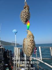군산 대호피싱 17일 대박치고 마무리 했습니다