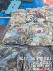 17일 쭈갑 오후반 사진