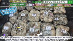 10월17일 홍원항힐링호 Very Good~ 쭈갑 조황~!물좀 안정되니 여지없네요^^장원9.1kg오바~ 2등7.6kg 전원 많이들 잡으셨네요ㅎㅎ 왕갑이와 심해왕갑이까지 ㅋㅋ 사진