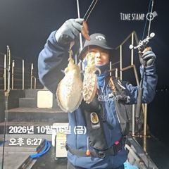 2026년10월16일(12물) 까치선장 자이언트호 쭈/갑 굿 조황