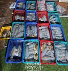 팁런무늬오징어 사이즈좋습니다 내일예약가능합니다 사진