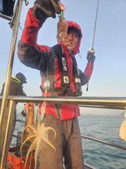 [쭈갑조황] 10/17조양호 쭈갑