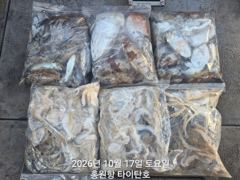 10/17 홍원항 타이탄호 쭈꾸미,갑오징어 사진