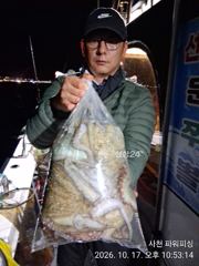 [사천] 주꾸미 & 야간 돌문어(황금 물때)17일~굿조황 ~내일9자리여유 사진