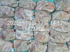 17일, 군산 왕문어 난리 부르스~초대박 굿굿조황~싸이즈 끝내줍니다~매일출조~군산낚시프라자 나드리호