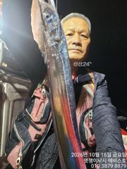 [진해] 준내만갈치~씨알 미쳤고 최고5지까지 마릿수도 미쳤다~내일 2분/…