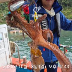 [사천] 문어 낚시 대회
