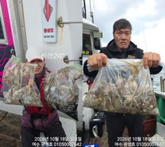 <여수광성호> 쭈꾸미 최고 조황! 갈치도 쭈꾸미도 광성호!!