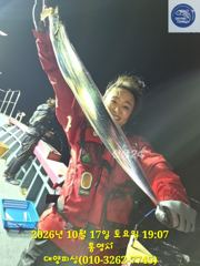 17일 대마꼴 갈치 한치 만쿨 사진