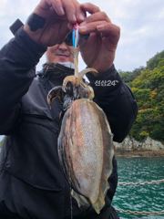 261018 여수 쭈꾸미 호조황