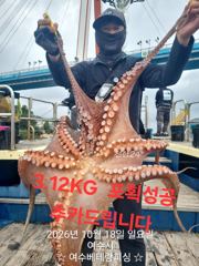 [여수,광양] 대물돌문어 3.12KG외 망태기 대박조황 입니다. …