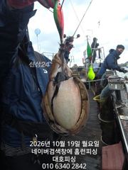군산 대호피싱 10월19일 쭈꾸미 갑오징어 11분 모시고 나왔습니다