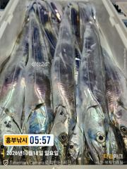 18일 입항 박선장 특 초초 특 대박조황 낼 화욜부터 여유자리