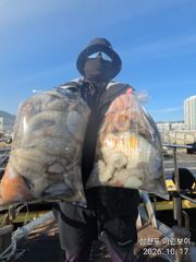 [사천] 삼천포 마린보이 10. 21. 수요일부터 가을 덩치문어 주간/야…