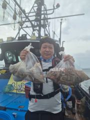 18일 문어조황