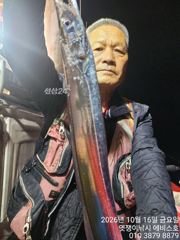 준내만갈치~대치들 쿨러 넘쳐요~대박입니다~화요일부터 예약가능합니다