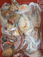 [진해] ~~*굵직굵직한 돌문어 손맛,씨알 굿 마리수 굿굿 좋아요~~(예…