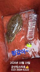 ■군산킹스타호(10/19)■ 14분조사님 문어 마무리 굿~~조황(두족류낚시는 군산킹스타호에서 ~)