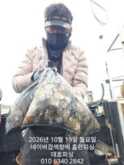 군산 대호피싱 10월19일 11분의 쭈꾸미 마무리 소식 전합니다