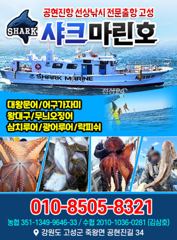 22인승 샤크마린 내일 무늬오징어 출조가실분들 연락주세요 010 8505 8321 사진