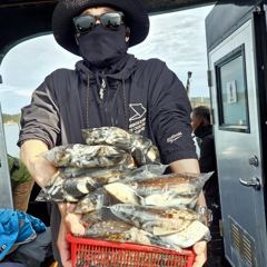 인천 [마린스타 1호 & 3호] 10월 19일(월) [쭈꾸미 갑오징어] 조황!!!