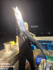 !!!제주 백호피싱!!! 10월 19일 야간갈치 조황
