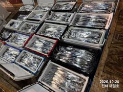 [20일입항,준내만갈치]4지5지,4지5지~!! 대물들많이잡고!!!! 쿨러도장까지 꾸욱~!!! 오늘예약가능합니다^ㅡ^ 자리여유 많습니다~
