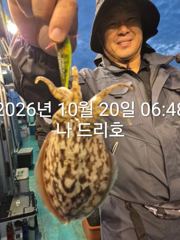 20일, 군산 갑돌이 ~연일 맹타~~오늘도 좋아요~실시간~군산낚시프라자 나드리호