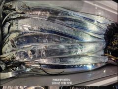 [진해] [20일입항] "내만갈치" 3지급씨알들이 퍽퍽퍽!! 씨알+마릿수…