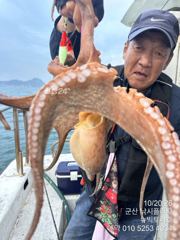 10/20 문어 아침조황 쏟아짐니다