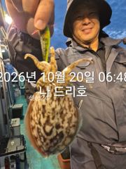 20일, 군산 갑돌이 ~연일 맹타~~오늘도 좋아요~실시간~군산낚시프라자 나드리호