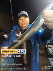 [진해] 준내만갈치)텐빈~오늘 입항조황/한치 (금요일/일요일 예약가능합니… 사진