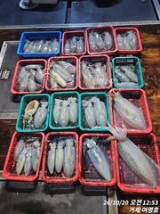 [여명호]19일 출조소식입니다