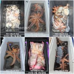 (여수 드림스타)이번주 약사리물때ㆍ물때 최상! 자리여유 많아요!~