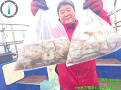 20일 문어