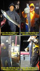 20일 수중전 텐빈 조황 시즌 대박입니다. 3지4지5지 쉬지않고 퍽퍽퍽