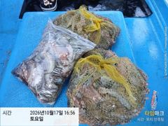삼천포 문어낚시 이번주 토요일 4자리 예약 가능 사진
