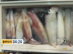 21일 입항 갈치만쿨 대포한치 까지 낼 모래 (목.금) 예약가능