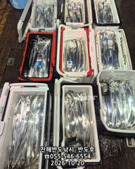 20일,내만갈치 담배갑,폭우에 조기철수에도 많이 잡고,오늘출항(수,목~예약가능)