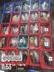 [팁런] k,k,무시급들( 토요일,출항,예약중)