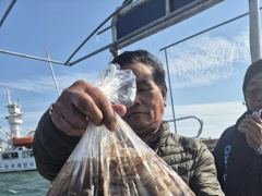 [사천] 삼천포 쭈꾸미 조황 !! 장원143수 금토일 자리여유